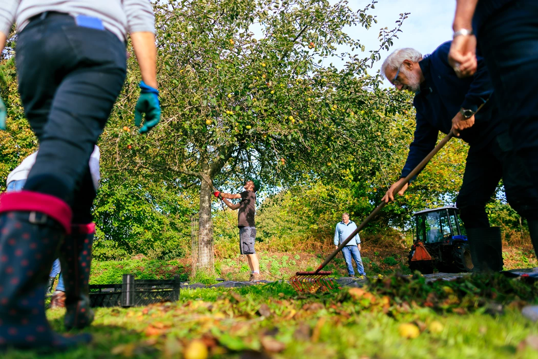 Colour photo of a group of people digging in the grass